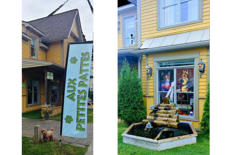 aux petites pattes 01 768x512