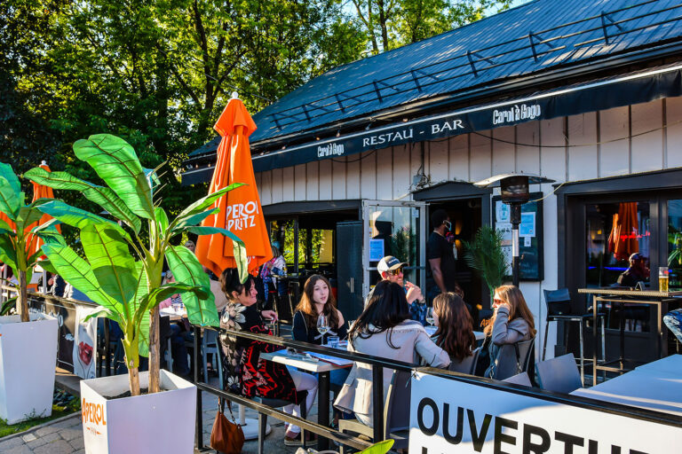 carol a gogo 01 768x512