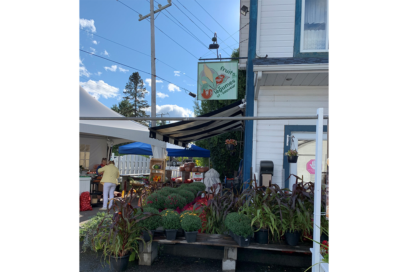 fruits legumes st sauveur 1