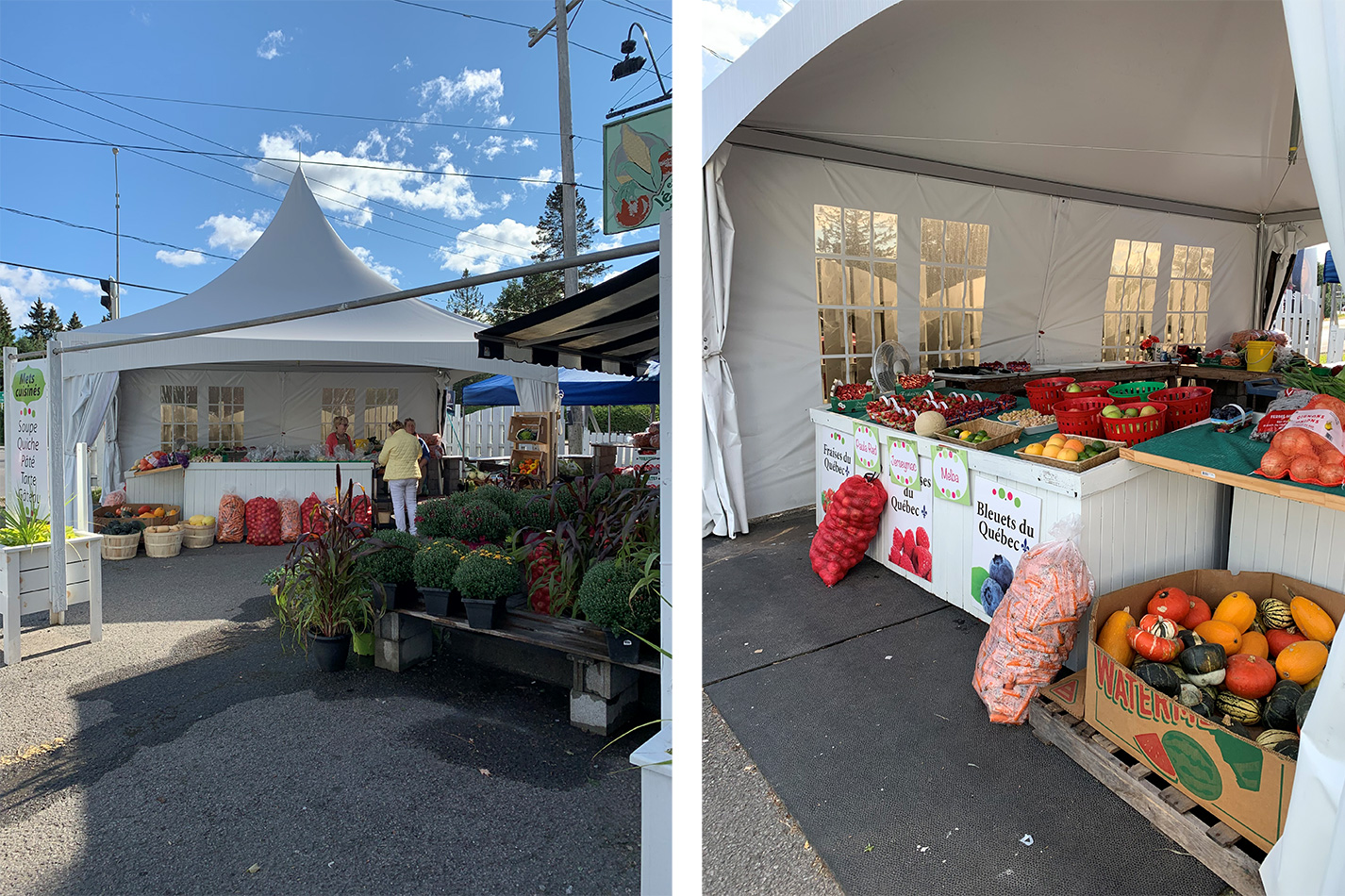 fruits legumes st sauveur 2