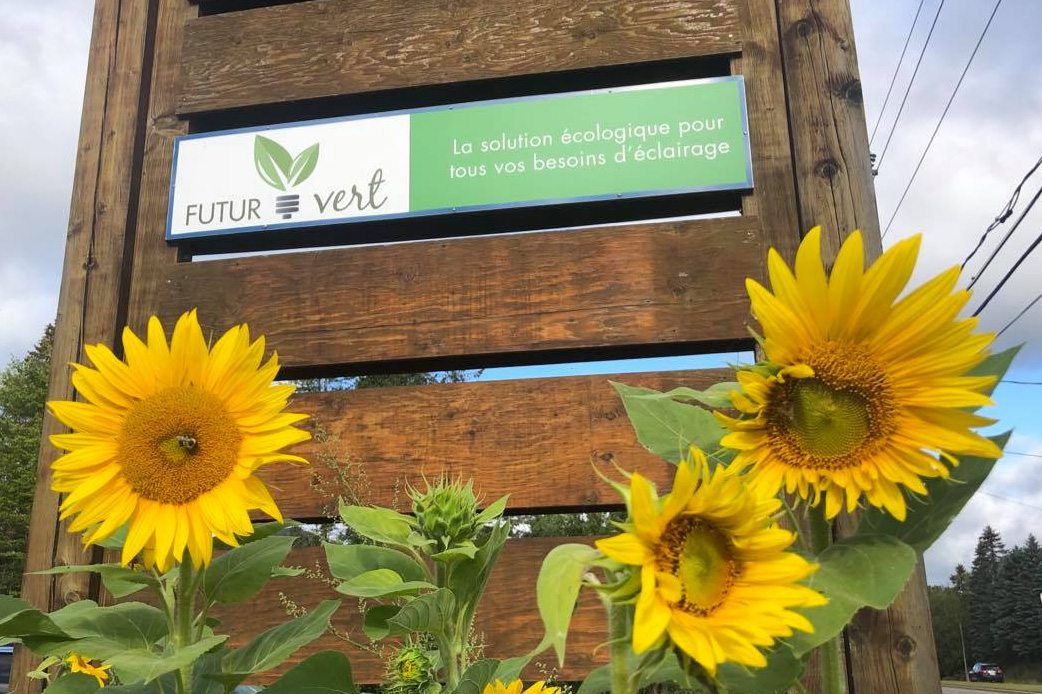 futur vert 3