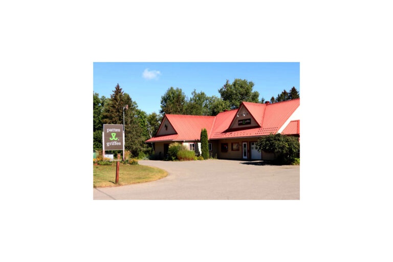 pattes et griffes 01 768x512