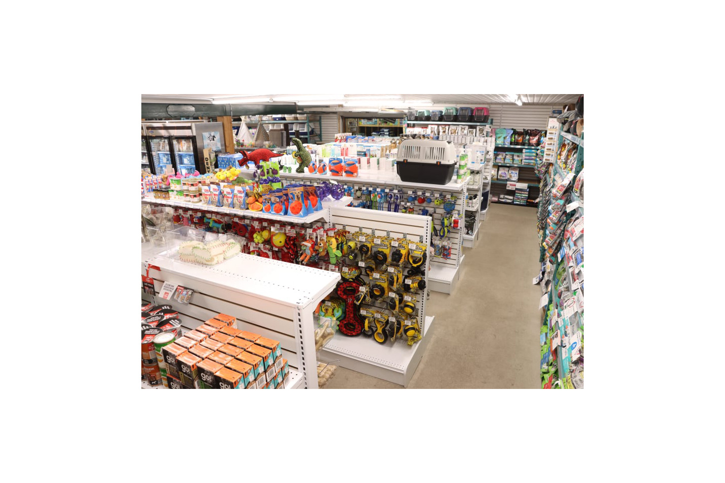 pattes et griffes 03