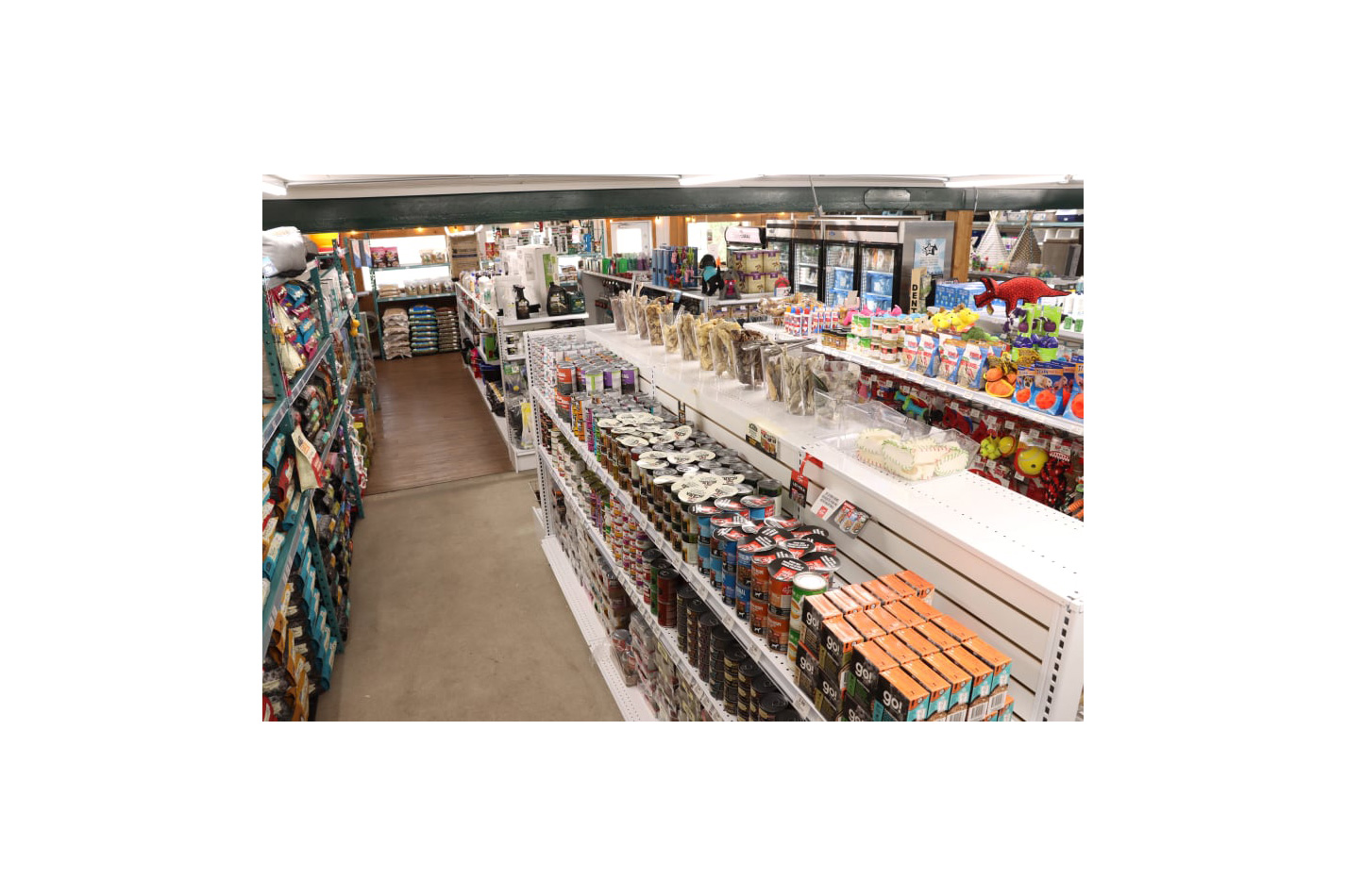 pattes et griffes 04