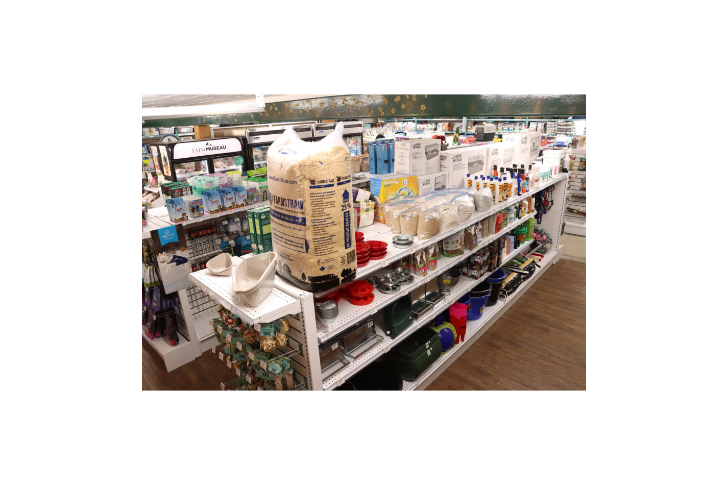 pattes et griffes 05