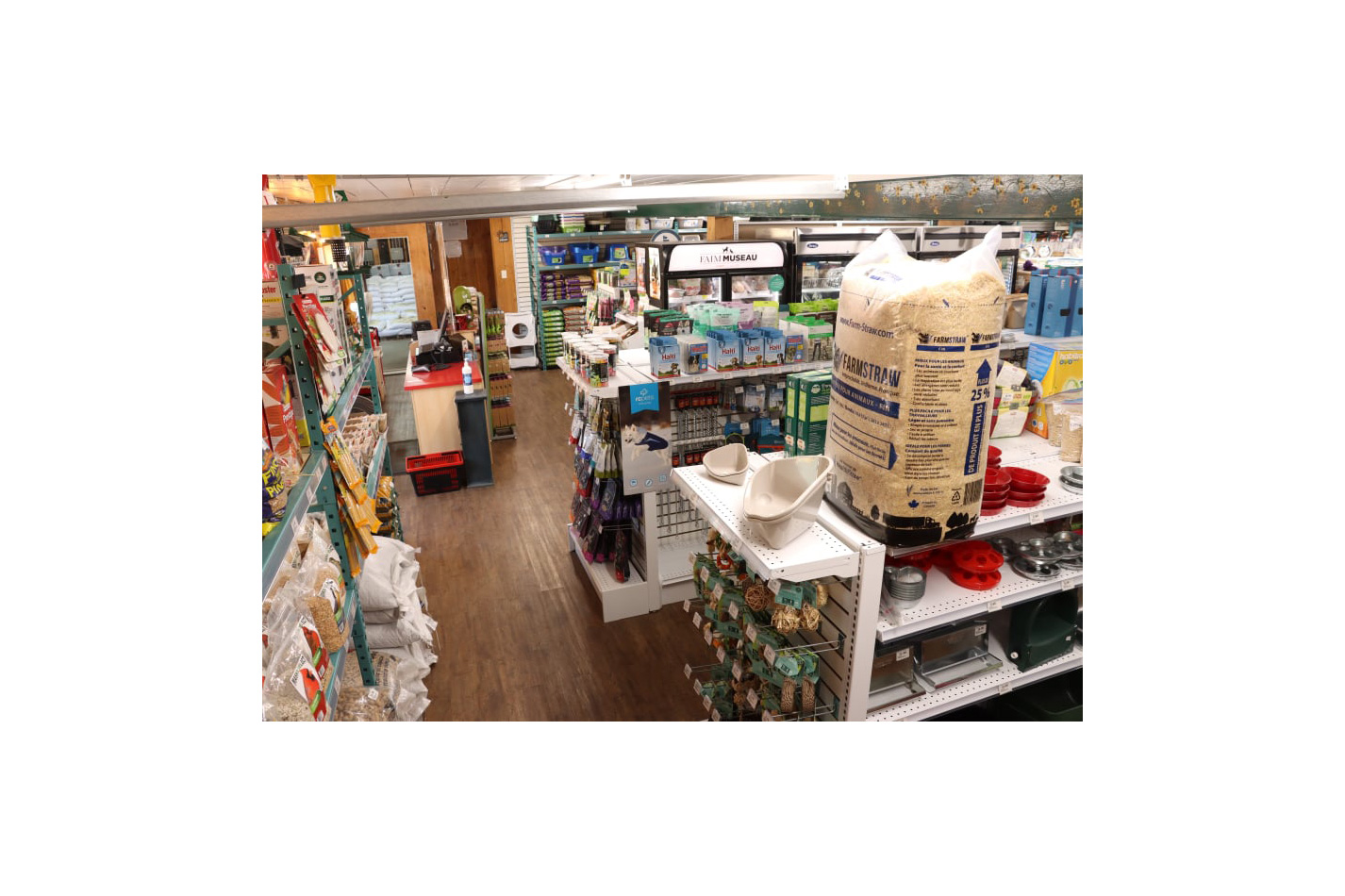 pattes et griffes 06