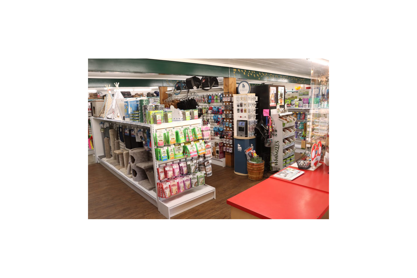 pattes et griffes 07