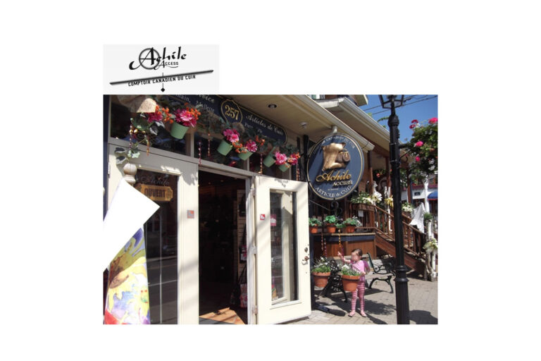 achile access 1 768x512