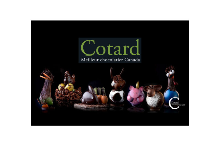 cotard 1 768x512