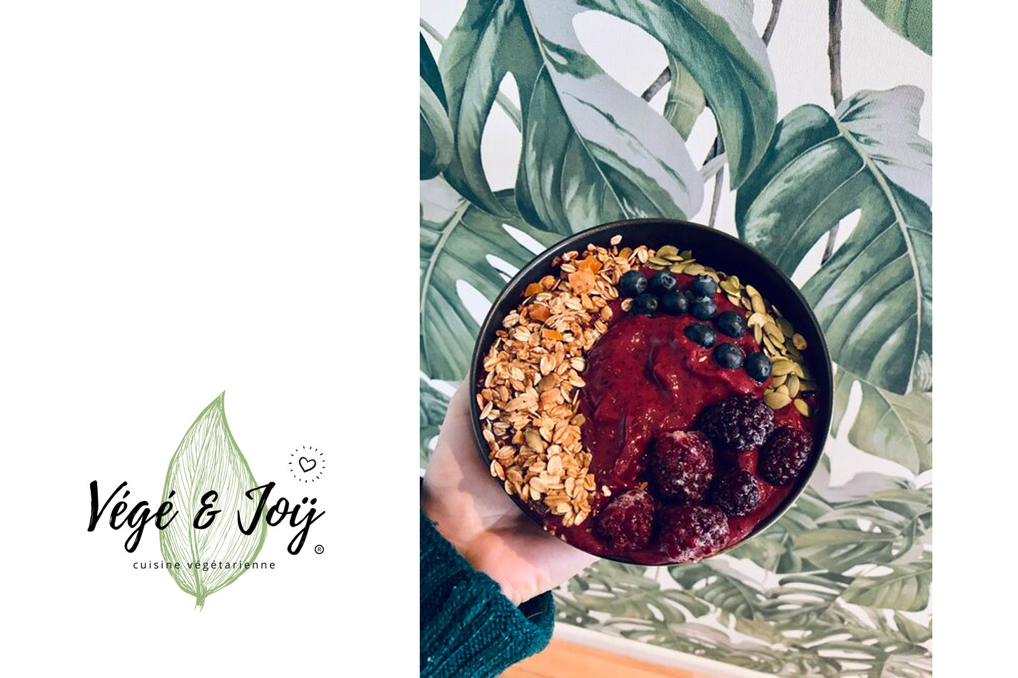 vege joy 1