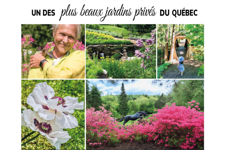 jardin de francois 1 768x512