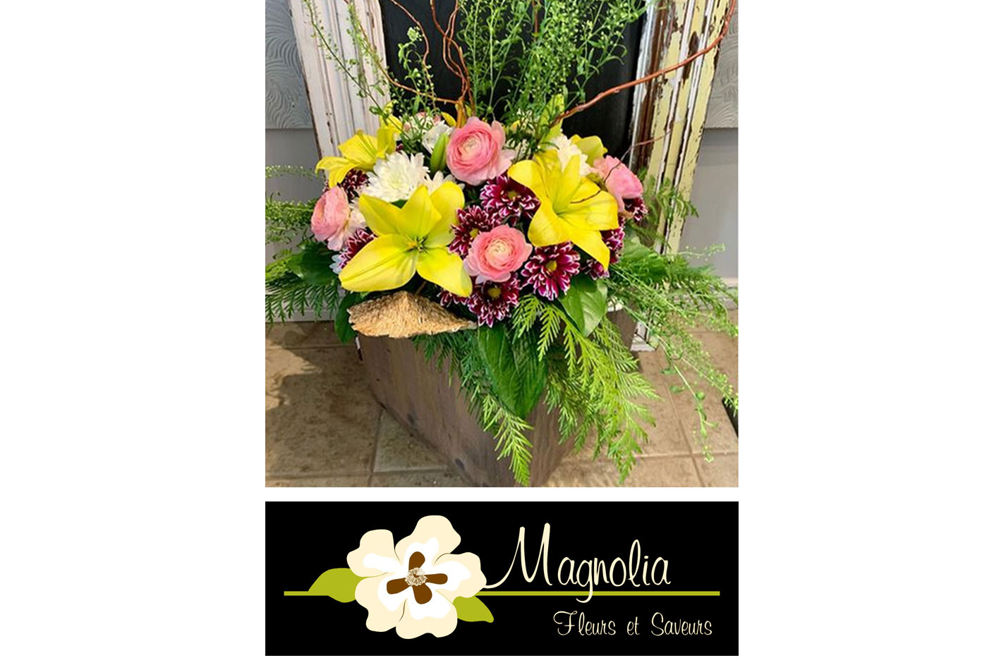 magnolia 2