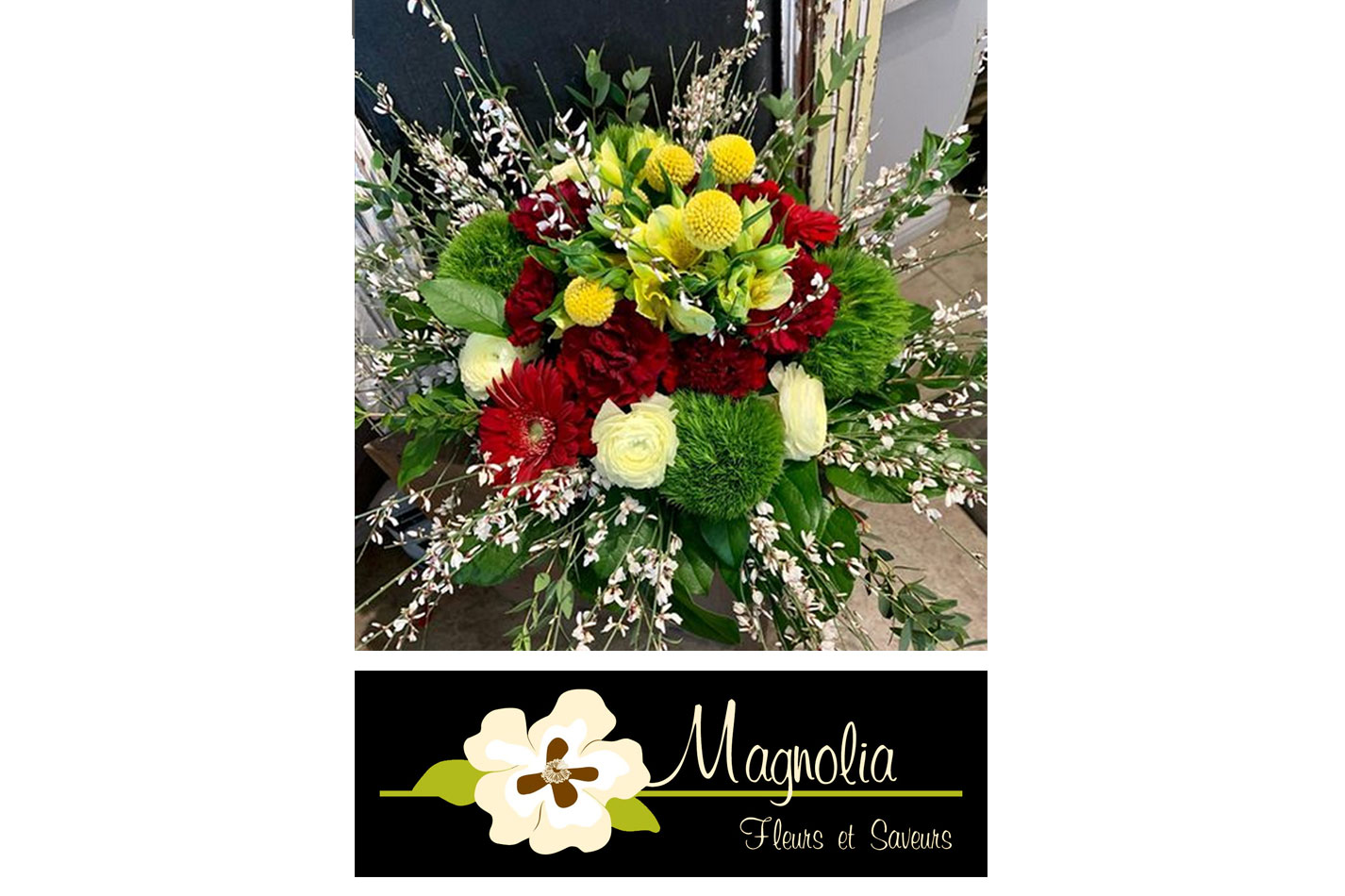 magnolia 3