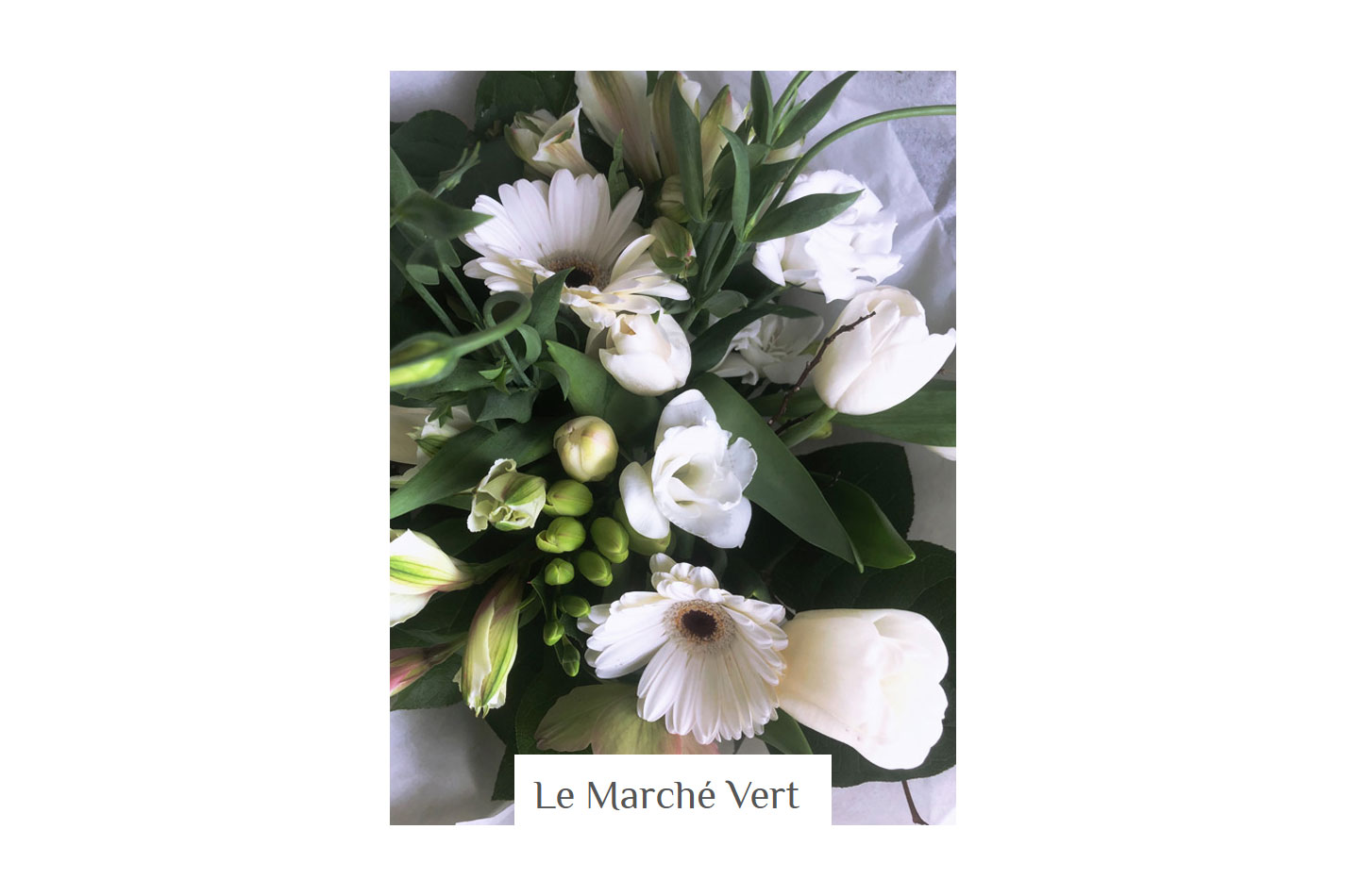 marche vert 2