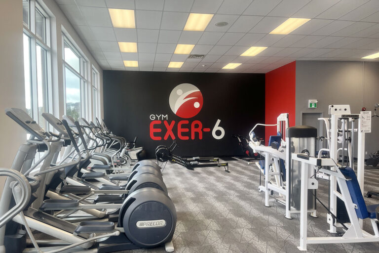 exer6 gym 1 768x512