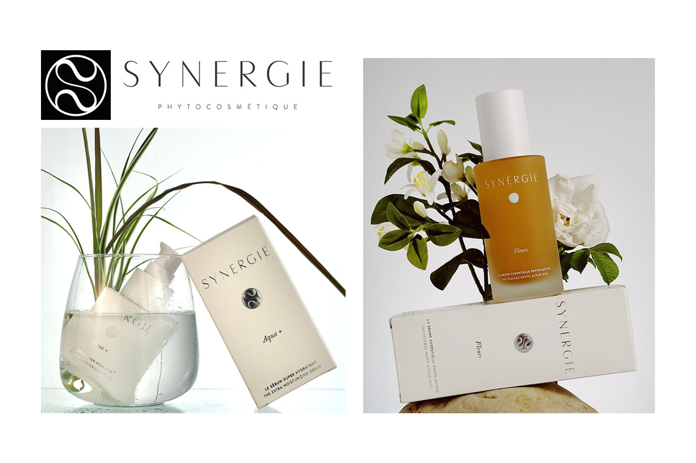 synergie 2 1