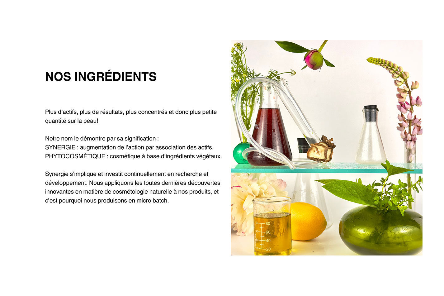synergie 3 1