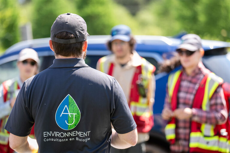 01 aj environnement 768x512