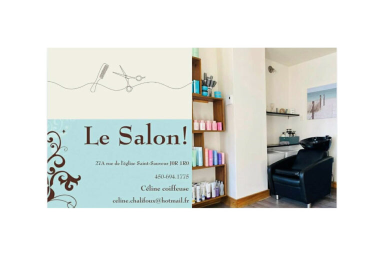 le salon 768x512